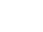 VTT Left Lobectomy Model