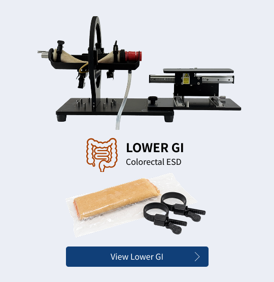 Colon Conversion Kit